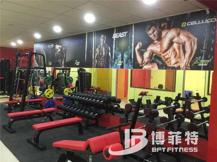 好色先生黄色视频TV客户健身器械